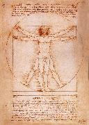 LEONARDO da Vinci Rule fur the proportion of the human figure oil on canvas